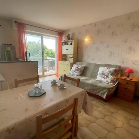 A 2 Pas De La Plage, Parking Et Animaux Admis - Fr-1-225d-142 * Saint-Cyprien (Pyrenees-Orientales)