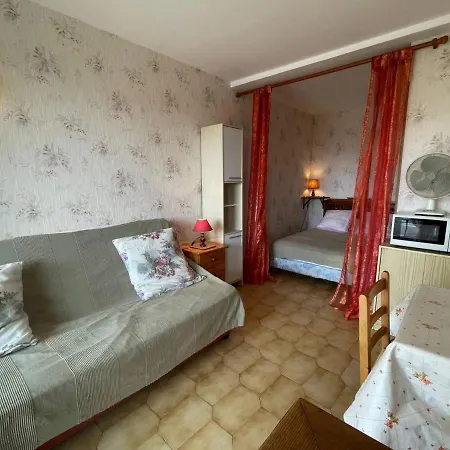 A 2 Pas De La Plage, Parking Et Animaux Admis - Fr-1-225d-142 * Saint-Cyprien (Pyrenees-Orientales)